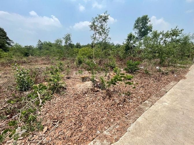 CHÍNH CHỦ BÁN ĐẤT TÂN THÀNH 30 FULL THỔ CƯ (359.9m² – GẦN KCN)