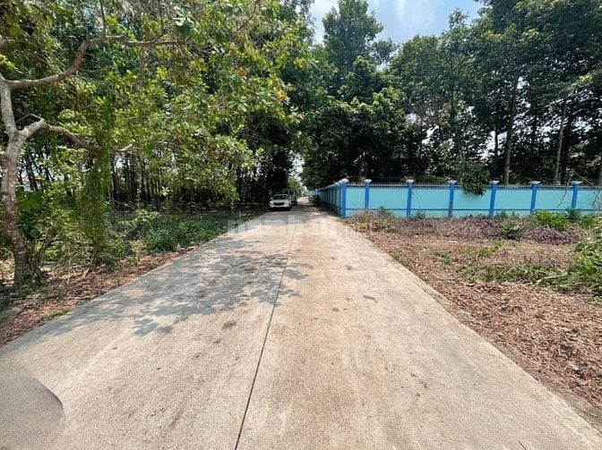 CHÍNH CHỦ BÁN ĐẤT TÂN THÀNH 30 FULL THỔ CƯ (359.9m² – GẦN KCN)