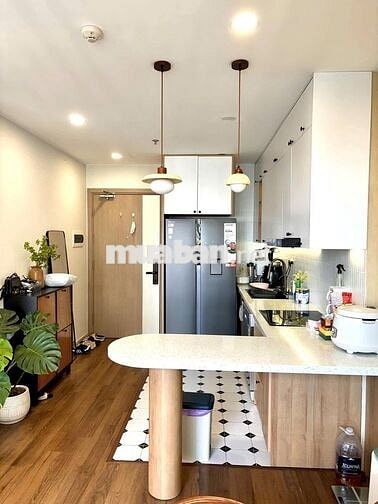 Chính chủ bán căn 2PN + 1, 64m2,4.5 tỷ căn góc,KĐT Vinhomes Smart City