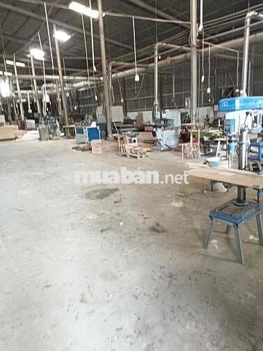 Tuyển Cán Bộ ngành gỗ và LĐPT