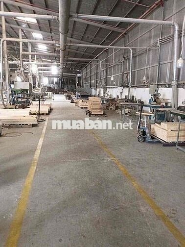 Tuyển Cán Bộ ngành gỗ và LĐPT