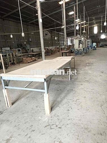 Tuyển Cán Bộ ngành gỗ và LĐPT