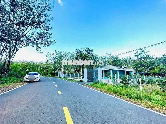Bán vườn mít rộng 1600m² (20*80m, 200m tc) đường nhựa lớn 760tr
