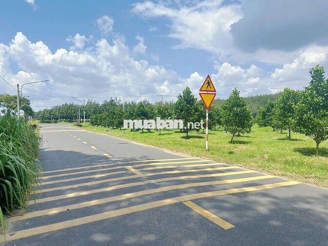 Bán vườn mít rộng 1600m² (20*80m, 200m tc) đường nhựa lớn 760tr