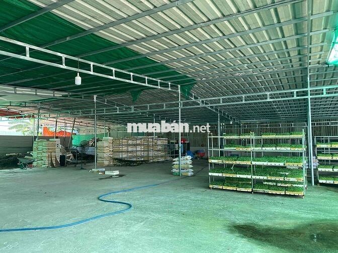 cho thuê kho xưởng 1000m2 giá 28tr