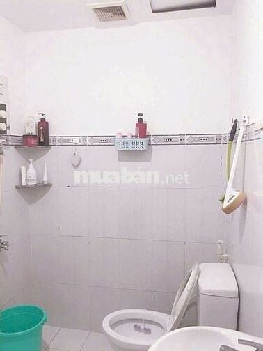 cho thuê nguyên căn hộ chung cư Lê Thành Tân Tạo