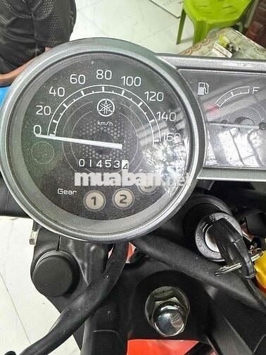 Yamaha PG-1 Cam 1453 km