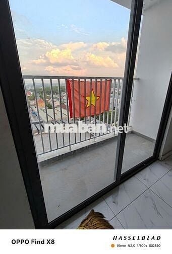 Star tower 3pn, 2Wc. Bà cô U40 cắt lỗ 650 triệu