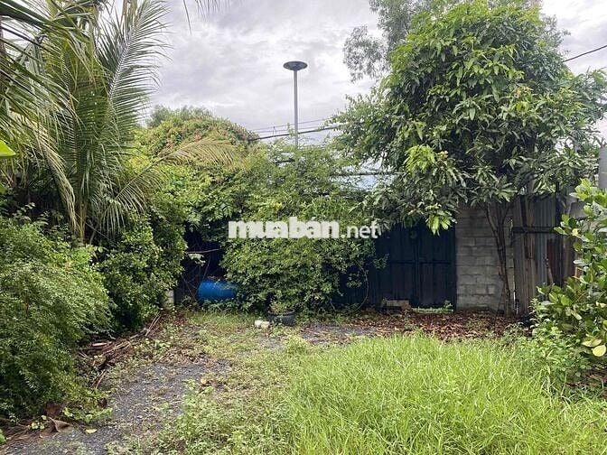 Cho thuê nguyên căn 10m x 35m mặt tiền đường Xóm Hố
