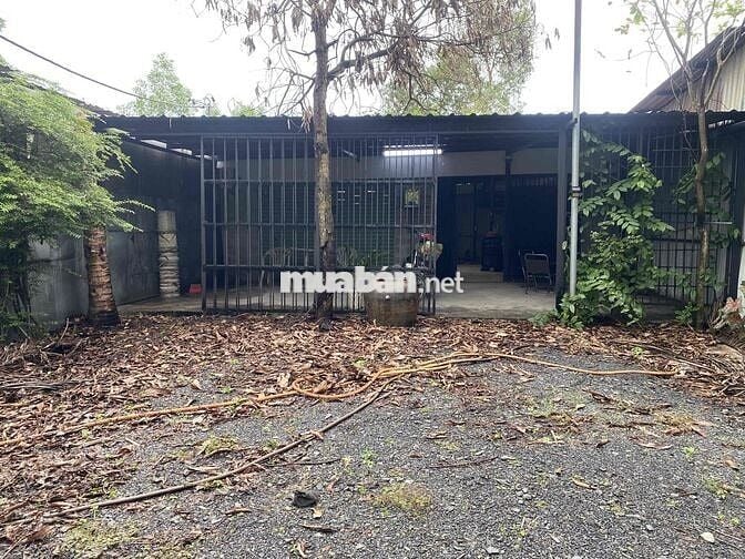 Cho thuê nguyên căn 10m x 35m mặt tiền đường Xóm Hố