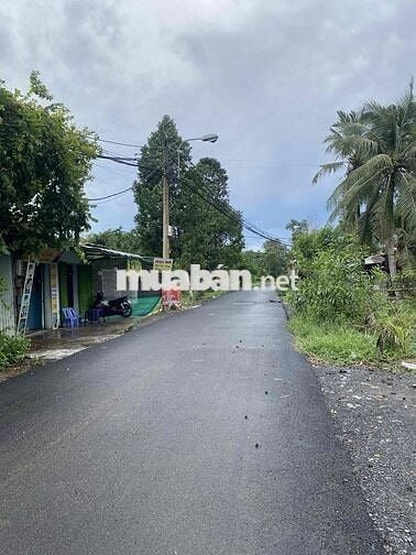 Cho thuê nguyên căn 10m x 35m mặt tiền đường Xóm Hố