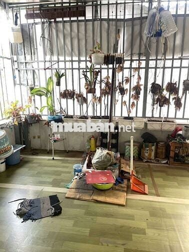 cho thuê nhà nguyên căn Gò Vấp 