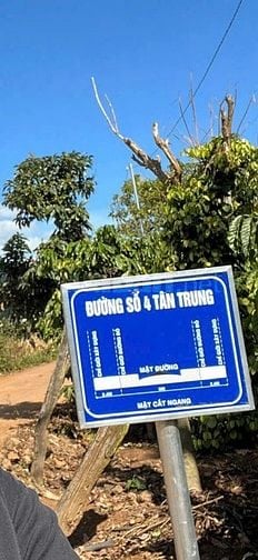 CẦN BÁN GẤP 3121 m2 ĐÁT THỔ CƯ+VƯỜN