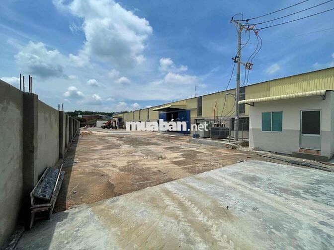 cho thuê xưởng bến cát - bình dương