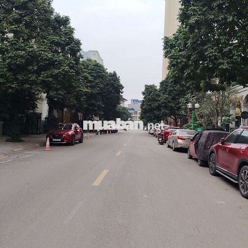 Bán Nhà Phân lô Tô hiệu 50m 5t,ôtô vào nhà,2 mặt ngõ,an sinh tuyệt vời