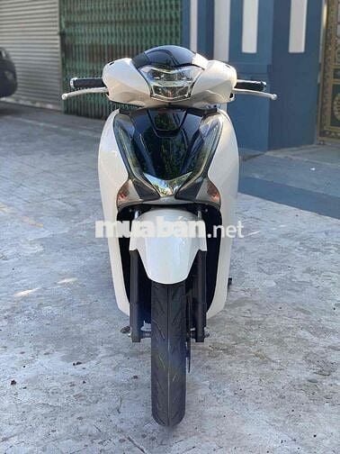 Honda SH Trắng