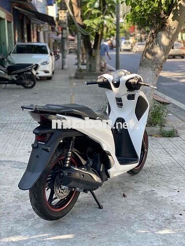Honda SH Trắng
