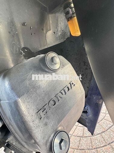 Honda Wave A 2024 Xanh
