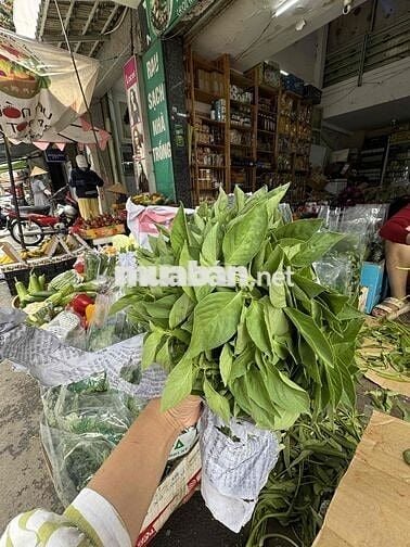 [KO CẦN KN] TUYỂN GÂPZ 5 NỮ BAN HÀNG RAU CỦ ĐÀ LẠT