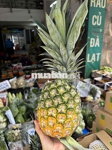 [KO CẦN KN] TUYỂN GÂPZ 5 NỮ BAN HÀNG RAU CỦ ĐÀ LẠT