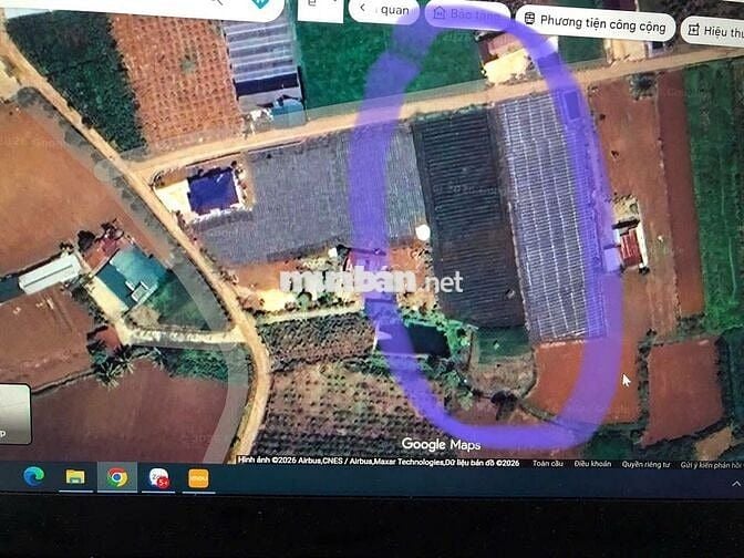 Bán Đất Vườn & Thổ Cư 3.121m² Tân Hội, Đức Trọng