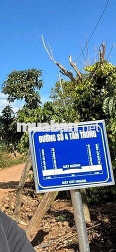 Bán Đất Vườn & Thổ Cư 3.121m² Tân Hội, Đức Trọng