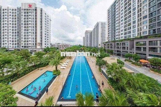 Cho Thuê Căn Hộ Cc PiCITy Q12 58m2 2PN - 1WC 7tr