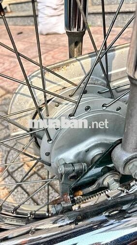 Honda Super Cub 50 Xanh, Kem
