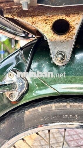 Honda Super Cub 50 Xanh, Kem