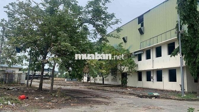 cho thuê kho xưởng khu vực Quận 7