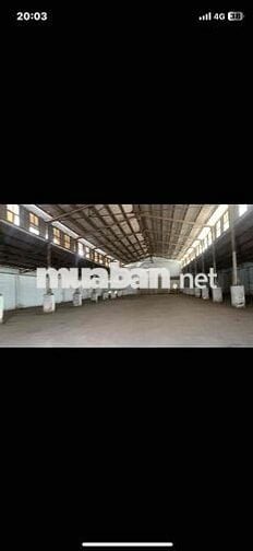 cho thuê kho xưởng khu vực Quận 7