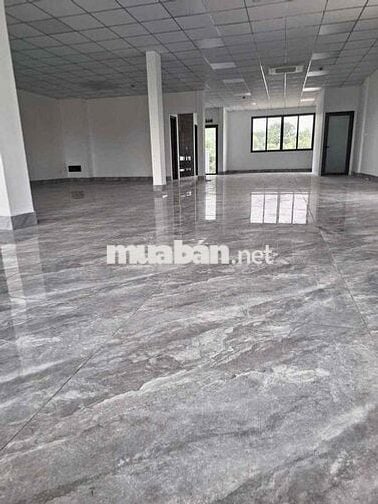 Cho thuê nhà 5 tầng dts 1000m2