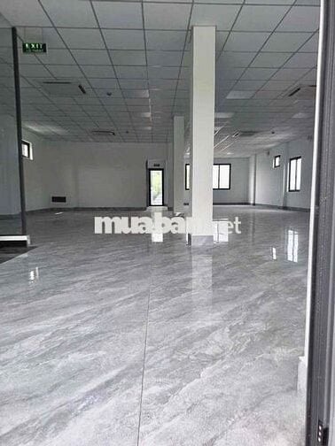 Cho thuê nhà 5 tầng dts 1000m2