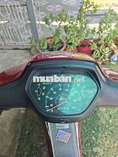 Honda Wave Alpha 2004 Đỏ