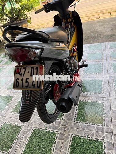 Sirius 2023 bs 47 , zin , full kiểng , siêu đẹp
