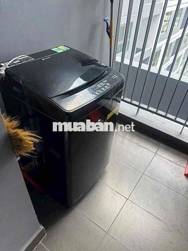 CHO THUÊ CHUNG CƯ PHÚ MỸ CĂN GÓC THOÁNG MÁT