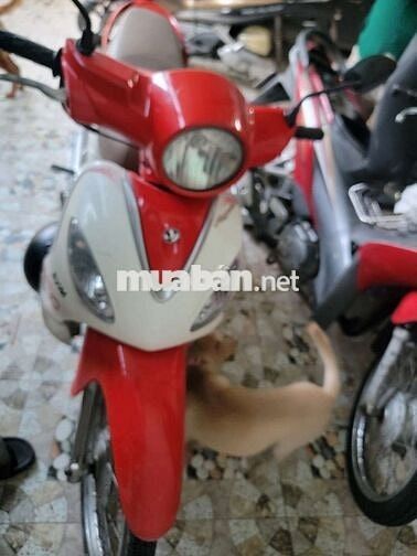 SYM Angela 2024 Đỏ trắng