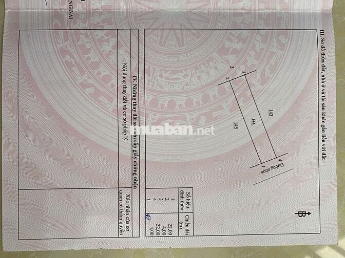 BÁN 2 LÔ CHÍNH CHỦ SIÊU ĐẸP GIÁ MỀM :