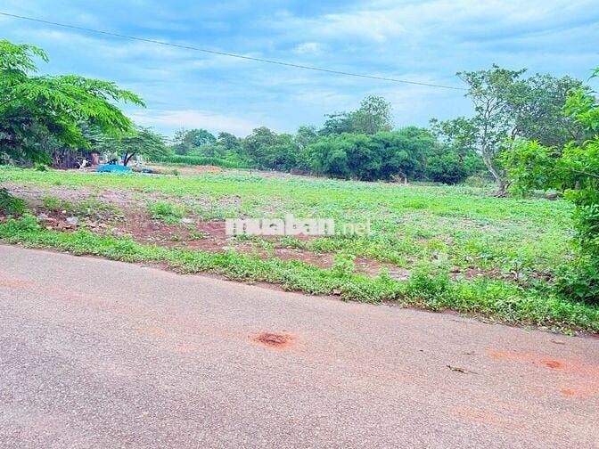 mặt tiền kinh doanh trung tâm long khánh giá rẻ