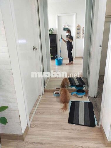 Cho thuê CĂN HỘ NGỌC LAN  CĂN 2PN