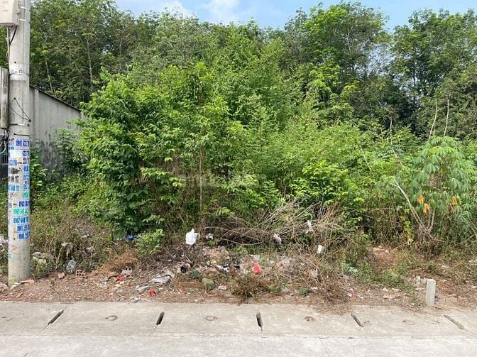CHÍNH CHỦ BÁN ĐẤT 179m² - TÂN ĐỊNH 08, BẮC TÂN UYÊN, BÌNH DƯƠNG