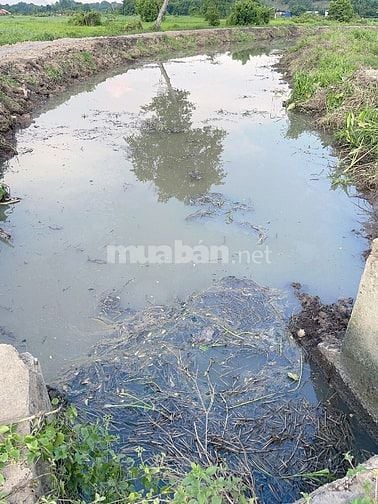 Cần bán 1000m đất giá 6tỷ ngay trung tâm xã đông thạnh hóc môn 