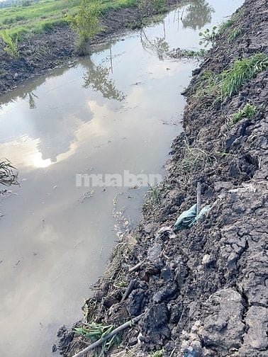 Cần bán 1000m đất giá 6tỷ ngay trung tâm xã đông thạnh hóc môn 