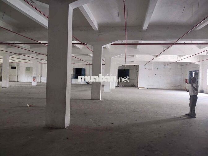 cho thuê xưởng sản xuất linh trung thủ đức
