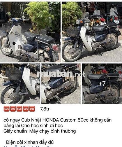 Honda Super Cub 50cc Xanh rêu, Trắng