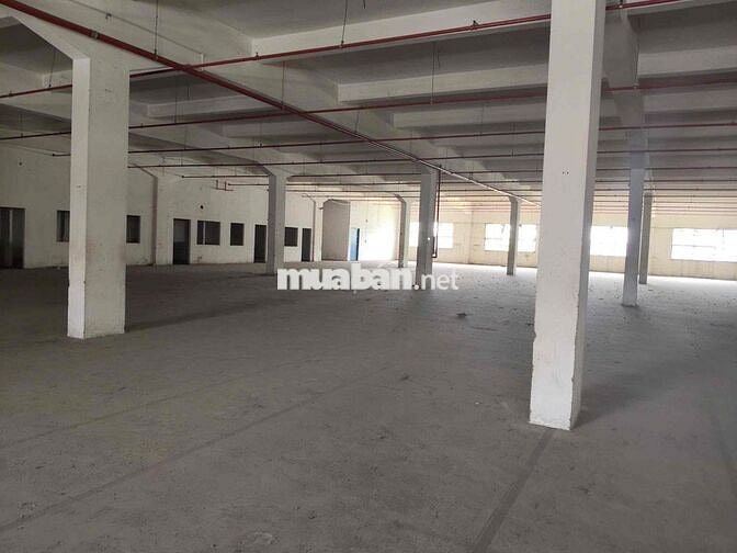 cho thuê xưởng sản xuất linh trung thủ đức