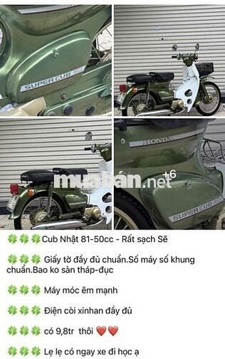 Honda Super Cub 50cc Xanh rêu, Trắng