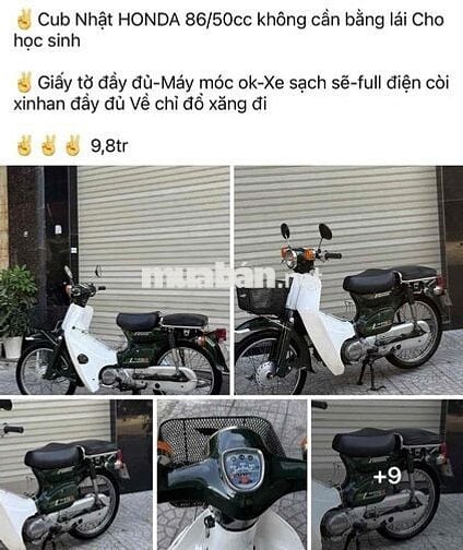 Honda Super Cub 50cc Xanh rêu, Trắng
