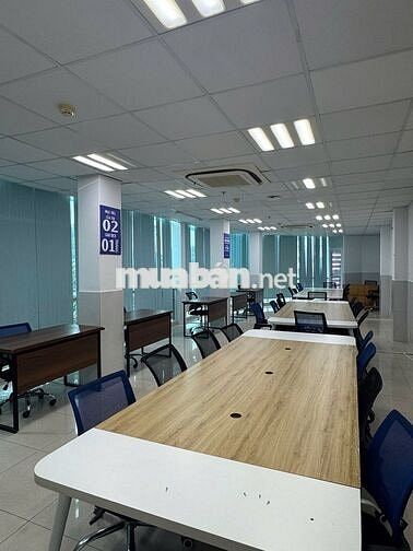 Cho Thuê Văn Phòng Quận 5 Mặt Tiền Trần Hưng Đạo (100-800m2)