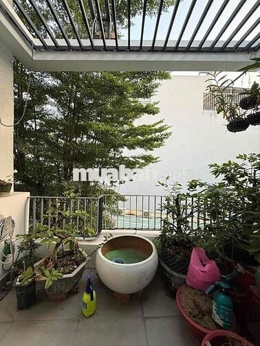 Hoà Bình / Thoại Ngọc Hầu 65m2(4x16), 3F, Giá 6.9 tỷ
